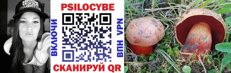 Псилоцибиновые грибы Psilocybe  Купить  Кемерово 
